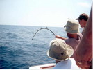 PCB Fishing Trip (August, 2001)