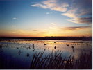 Arkansas Duck Hunting Trip (December, 2002)