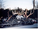 Nebraska Hunting Trip (November, 2002)