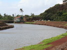 December in Hawaii (2007)