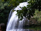 January in Hawaii (2008)