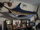 Marlin Fishing Trip (2009)