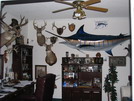 Mike's Hunting Mounts (thru 2011)