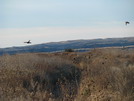 Nebraska Hunting Trip (November, 2013)